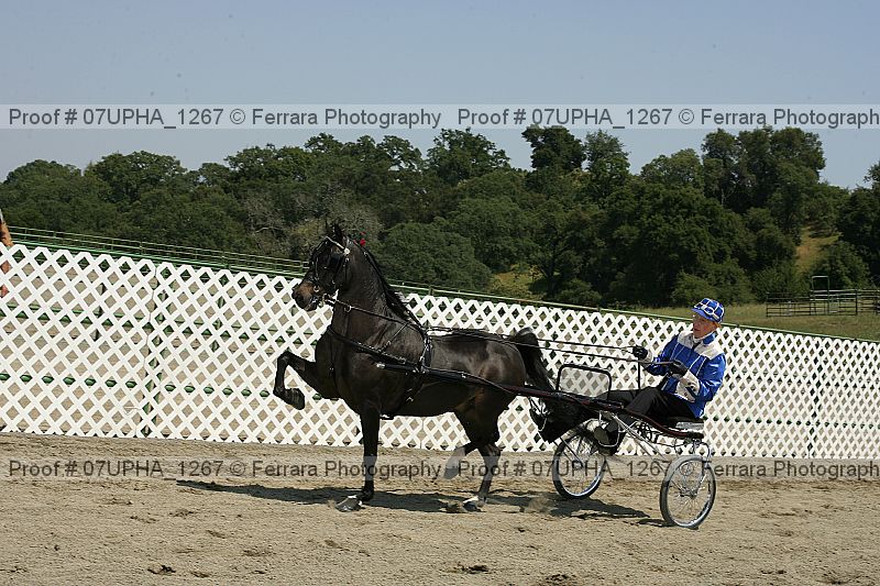 Proof Number 07upha_1267