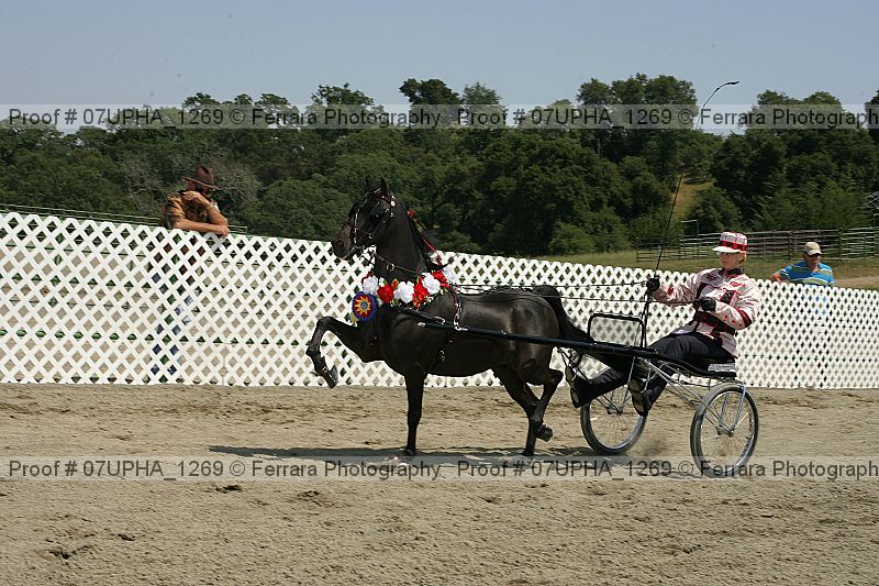Proof Number 07upha_1269