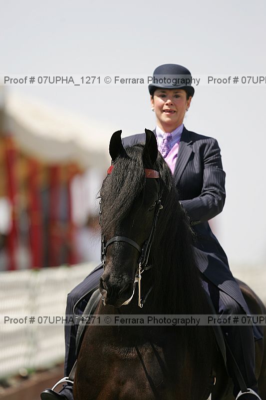 Proof Number 07upha_1271