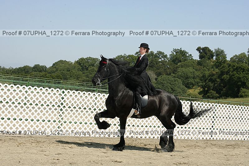 Proof Number 07upha_1272