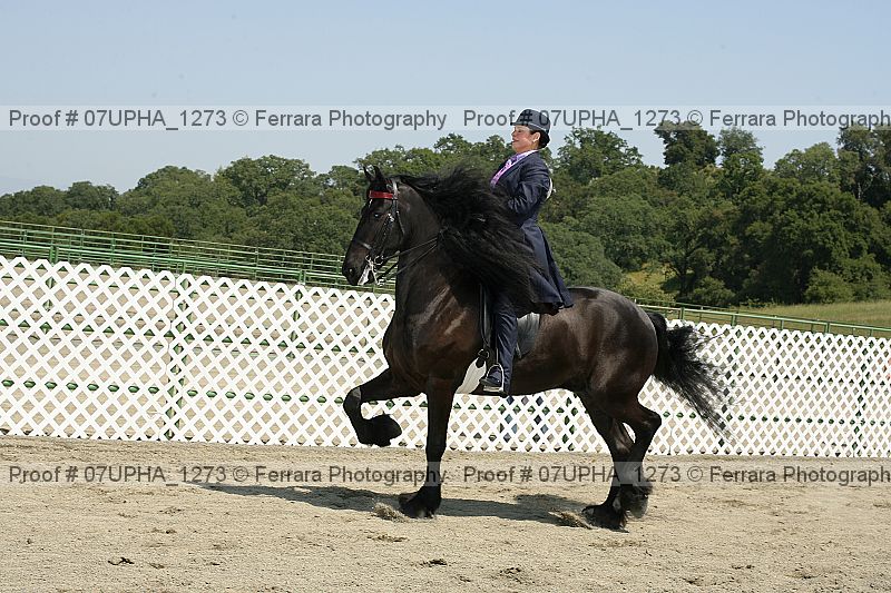 Proof Number 07upha_1273