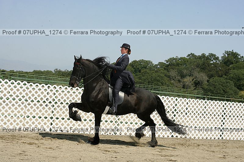 Proof Number 07upha_1274