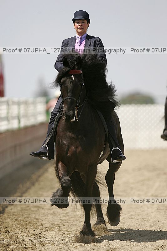 Proof Number 07upha_1278