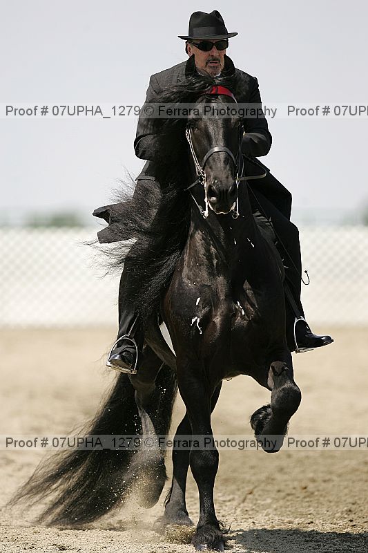 Proof Number 07upha_1279