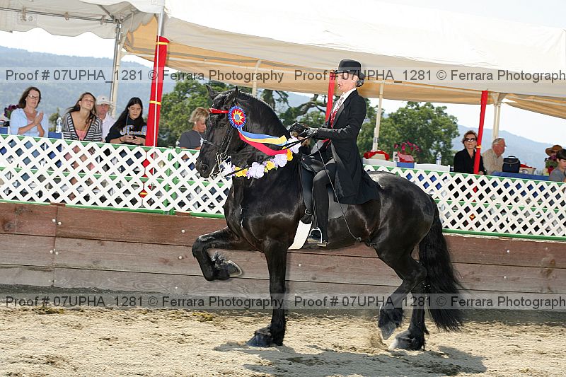 Proof Number 07upha_1281