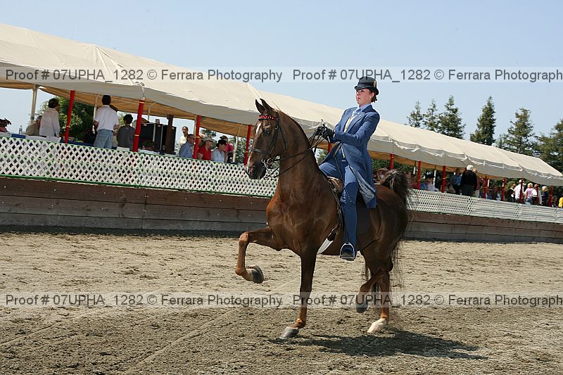 Proof Number 07upha_1282
