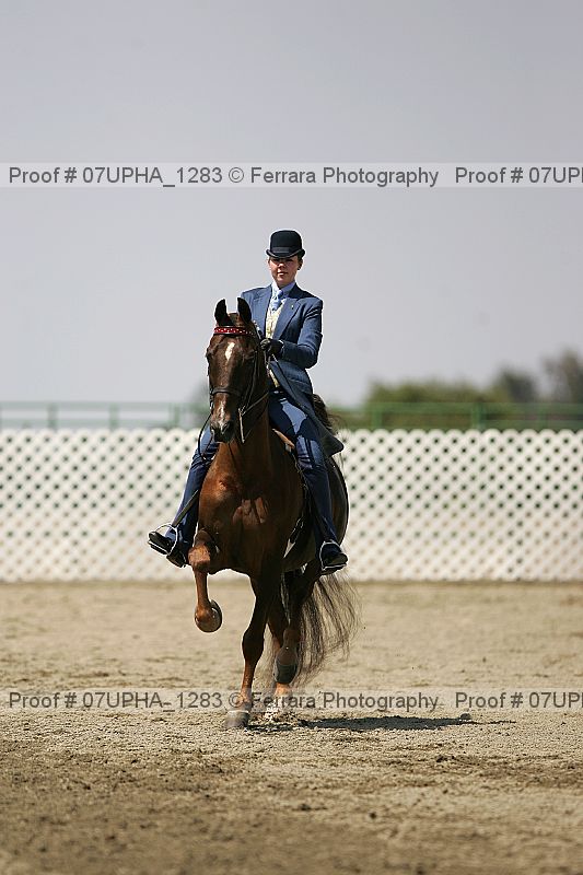 Proof Number 07upha_1283