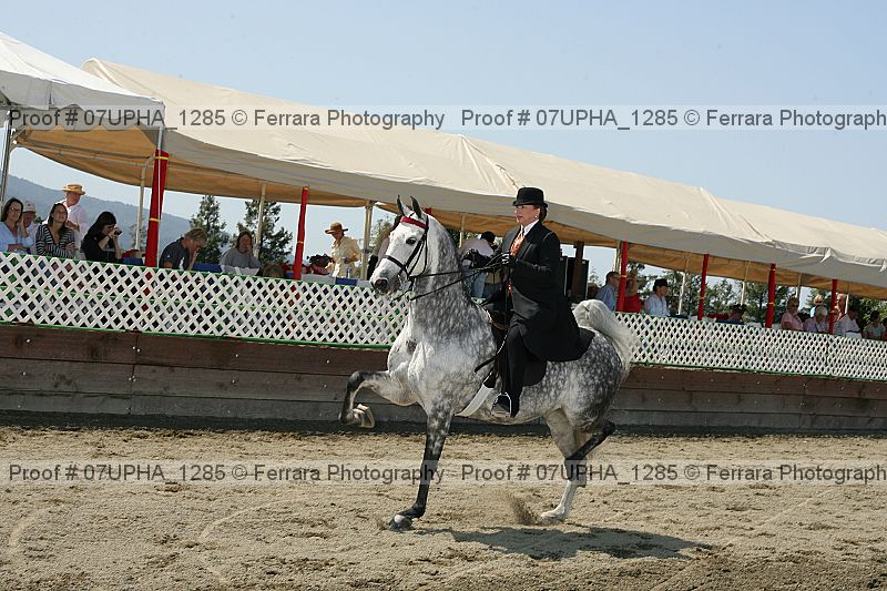 Proof Number 07upha_1285