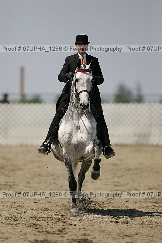 Proof Number 07upha_1286