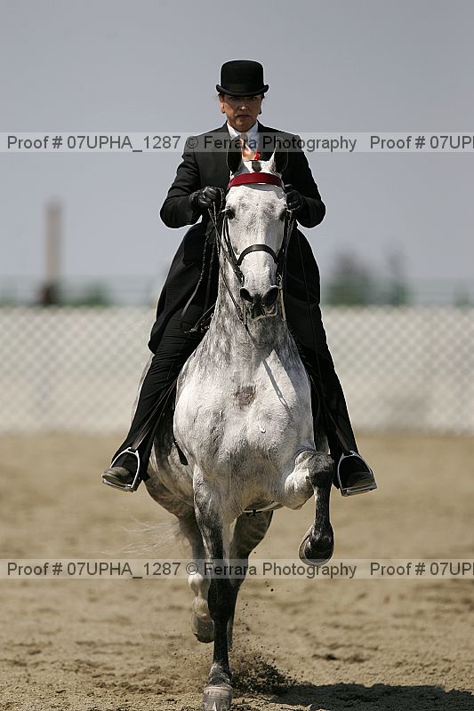 Proof Number 07upha_1287