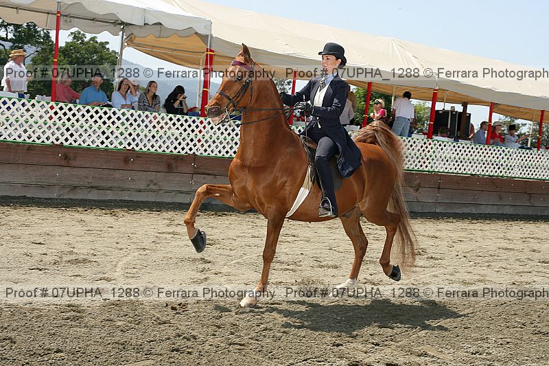 Proof Number 07upha_1288