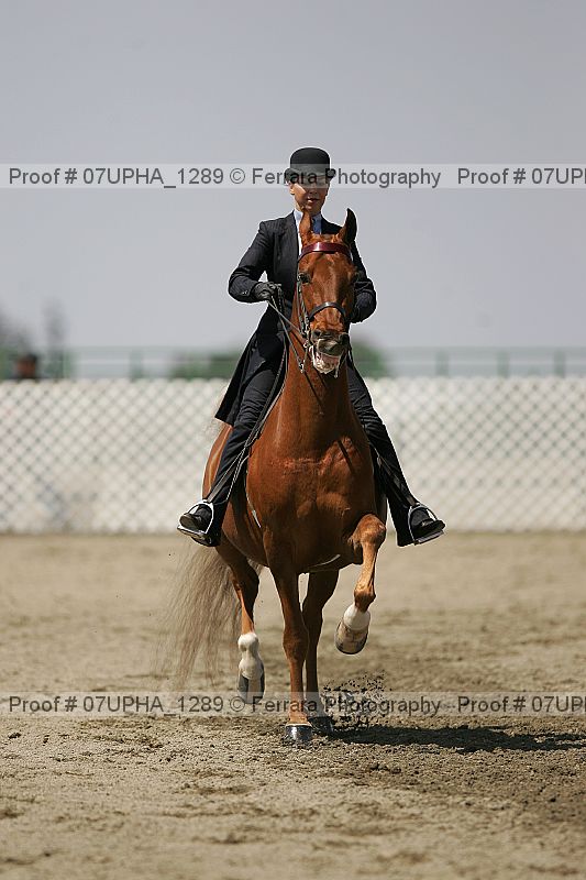 Proof Number 07upha_1289