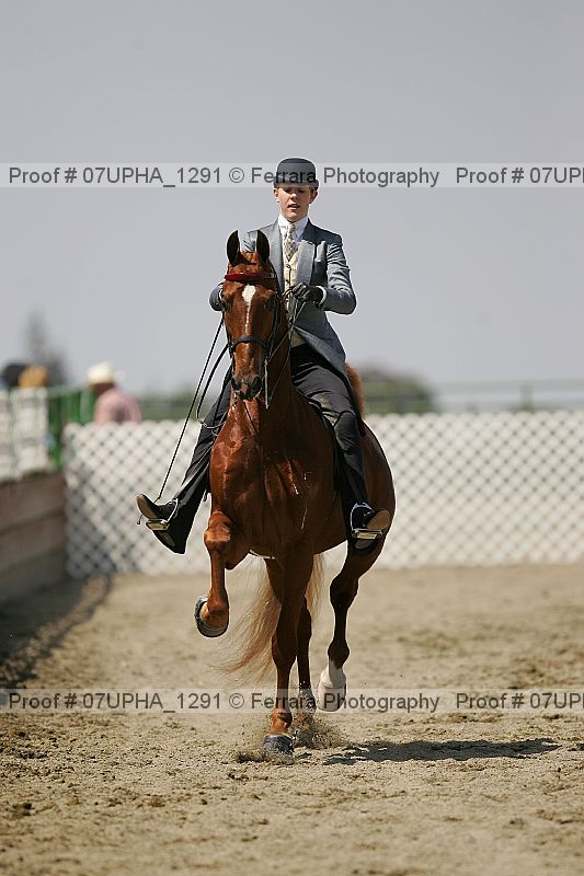 Proof Number 07upha_1291