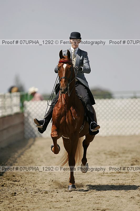Proof Number 07upha_1292