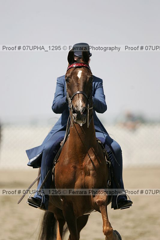 Proof Number 07upha_1295