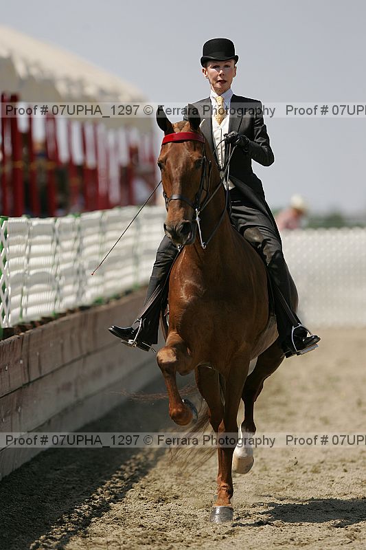 Proof Number 07upha_1297