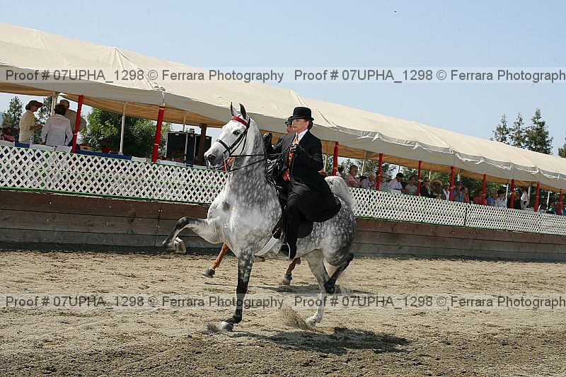 Proof Number 07upha_1298