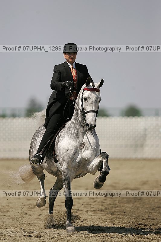 Proof Number 07upha_1299