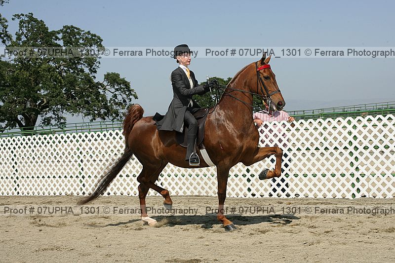 Proof Number 07upha_1301
