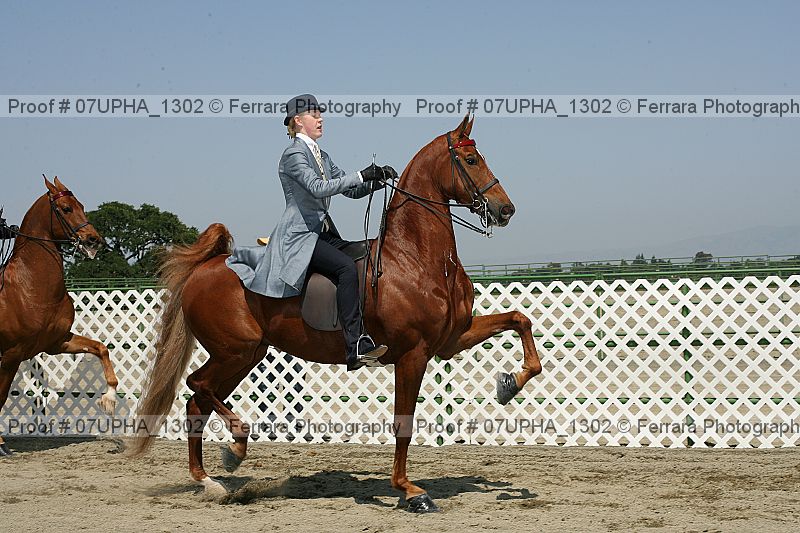 Proof Number 07upha_1302