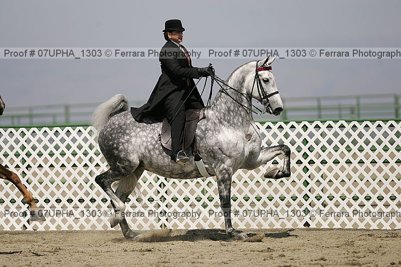 Proof Number 07upha_1303
