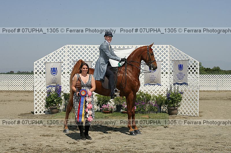 Proof Number 07upha_1305