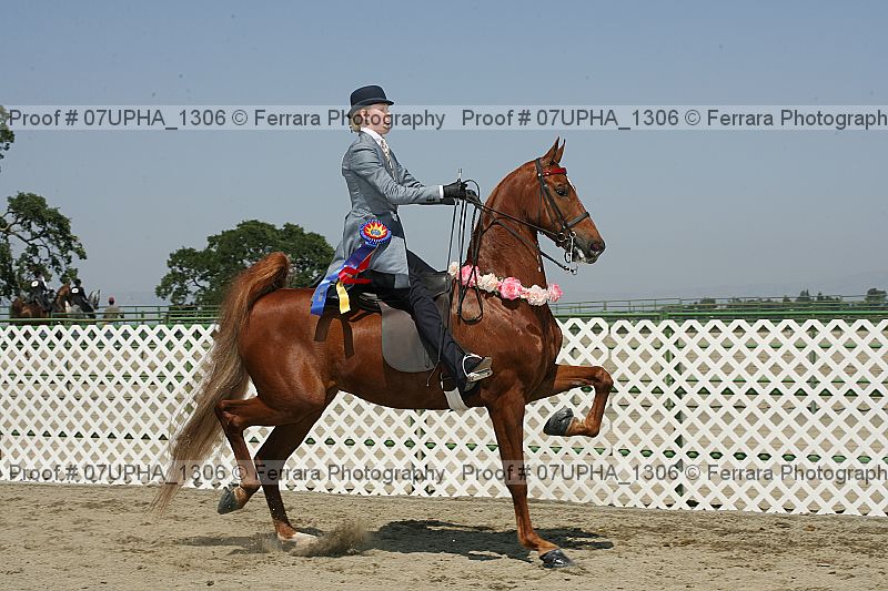 Proof Number 07upha_1306