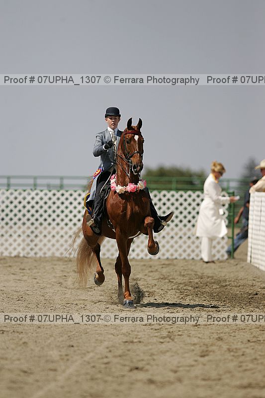 Proof Number 07upha_1307