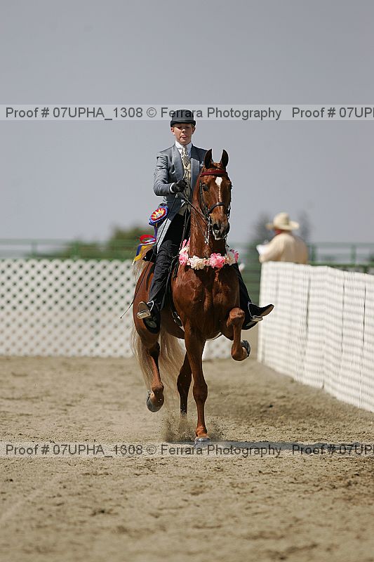 Proof Number 07upha_1308