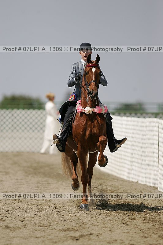 Proof Number 07upha_1309