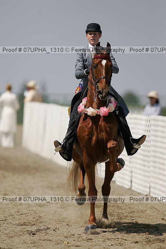 Proof Number 07upha_1310