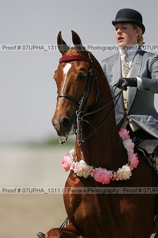 Proof Number 07upha_1311