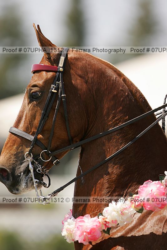 Proof Number 07upha_1312