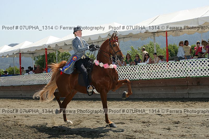 Proof Number 07upha_1314