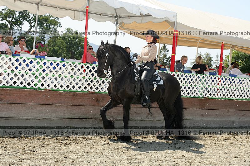 Proof Number 07upha_1316