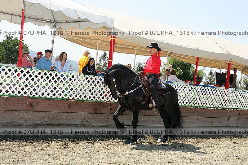 Proof Number 07upha_1318