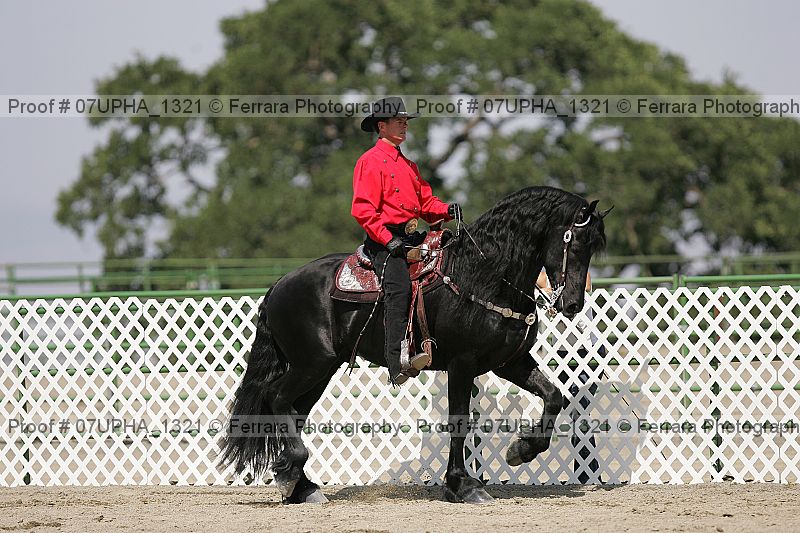 Proof Number 07upha_1321