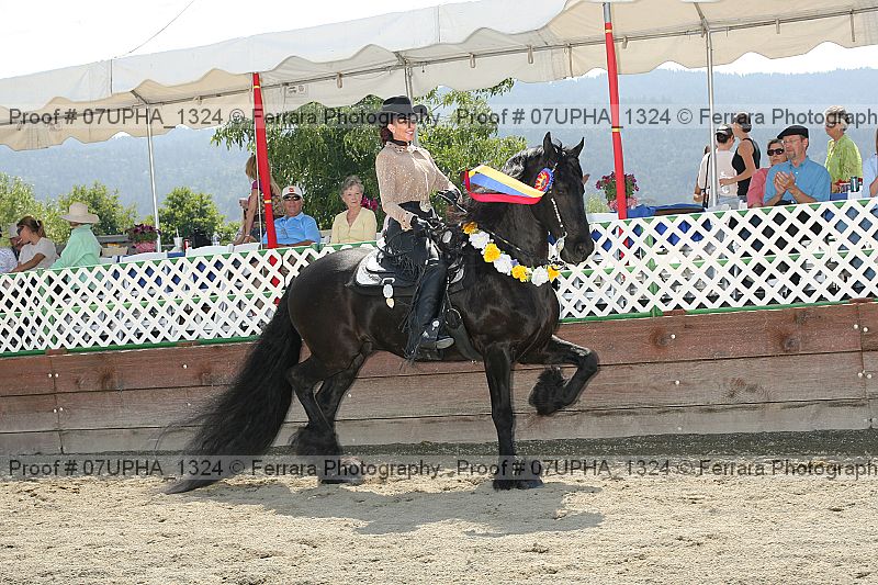 Proof Number 07upha_1324