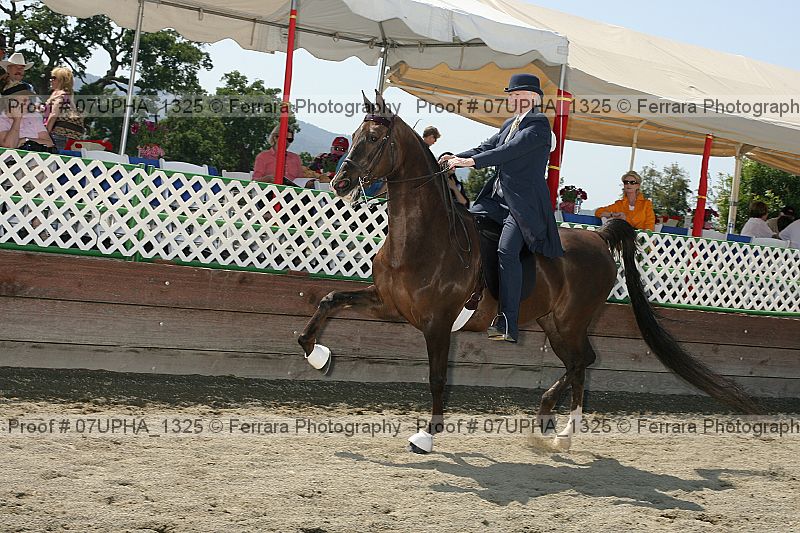 Proof Number 07upha_1325