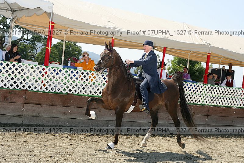 Proof Number 07upha_1327