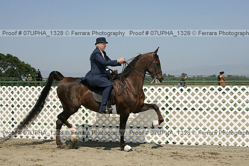 Proof Number 07upha_1328