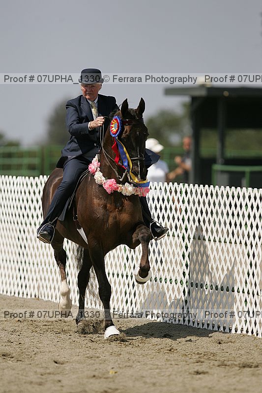Proof Number 07upha_1330