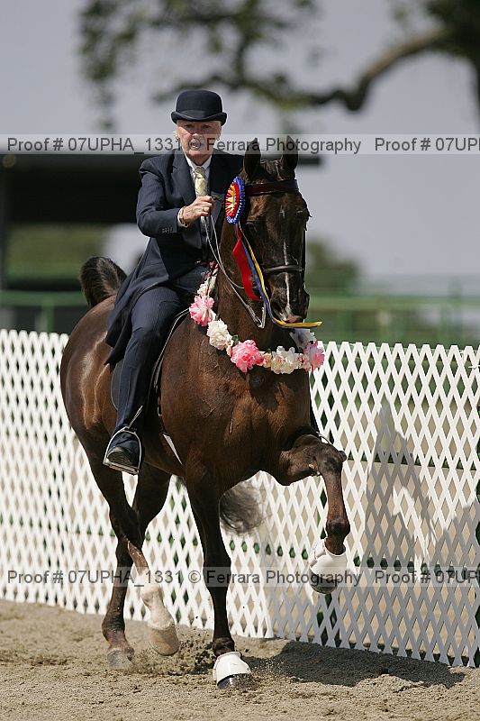 Proof Number 07upha_1331