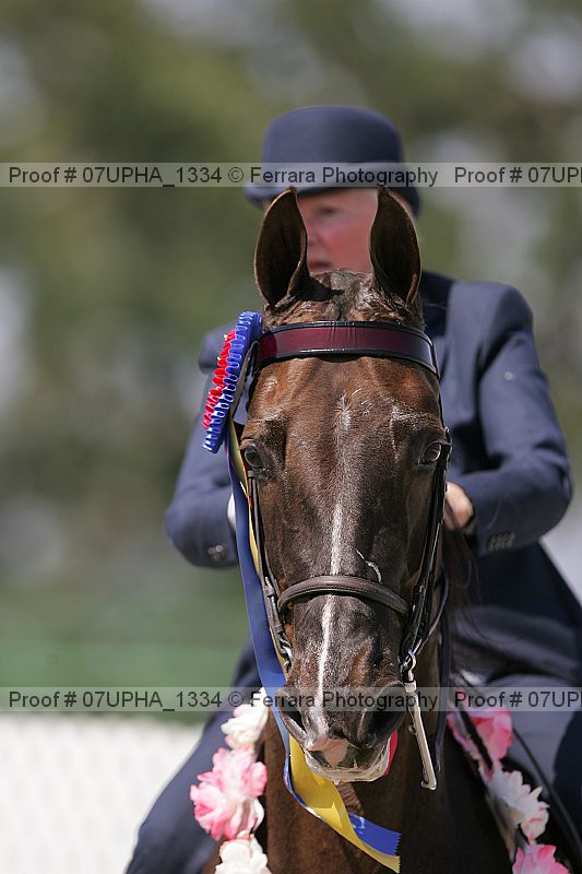 Proof Number 07upha_1334