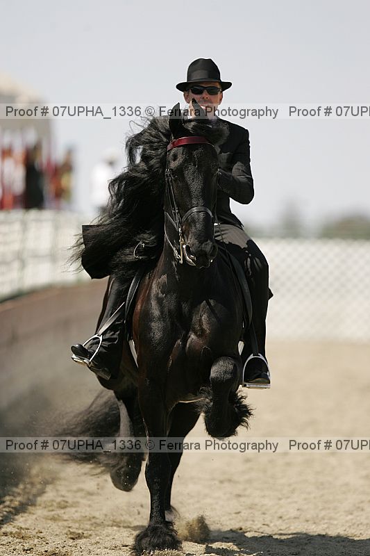 Proof Number 07upha_1336