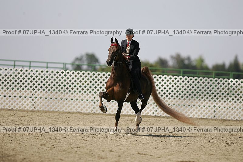 Proof Number 07upha_1340