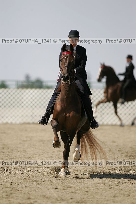 Proof Number 07upha_1341