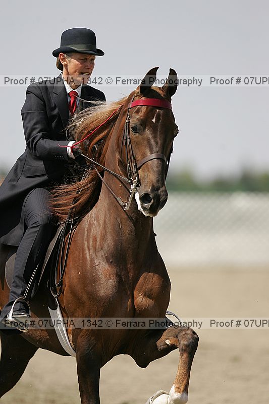 Proof Number 07upha_1342
