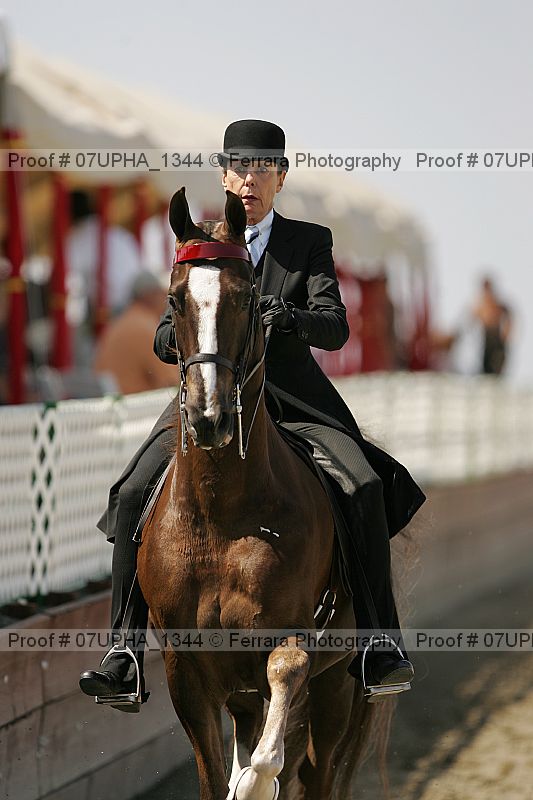 Proof Number 07upha_1344