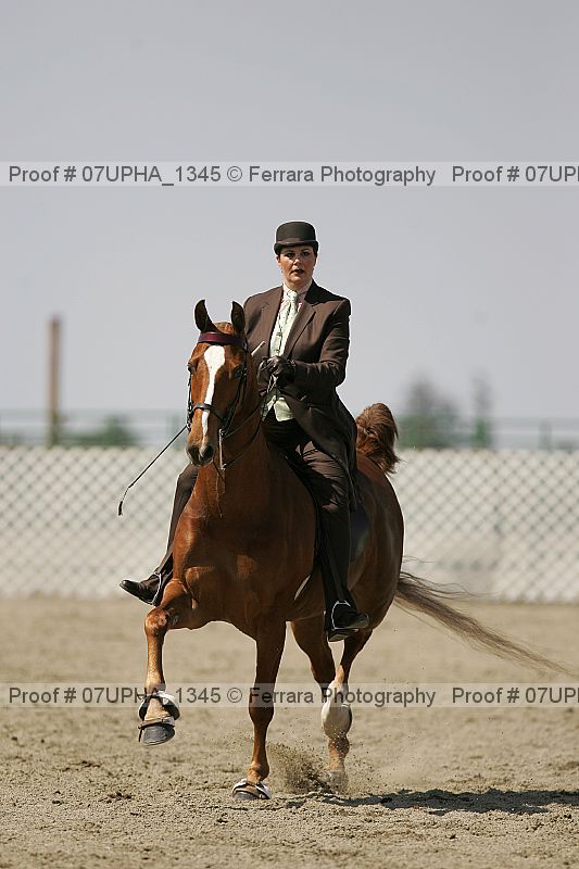 Proof Number 07upha_1345